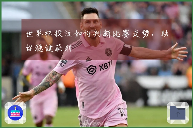世界杯投注如何判断比赛走势，助你稳健获利