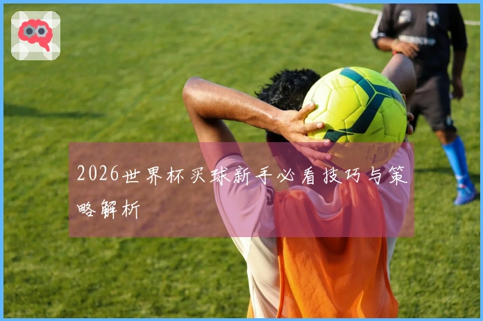 2026世界杯买球新手必看技巧与策略解析