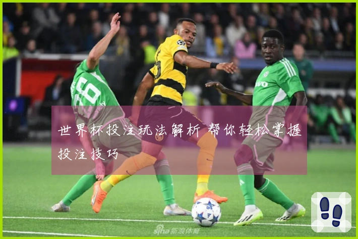 世界杯投注玩法解析 帮你轻松掌握投注技巧