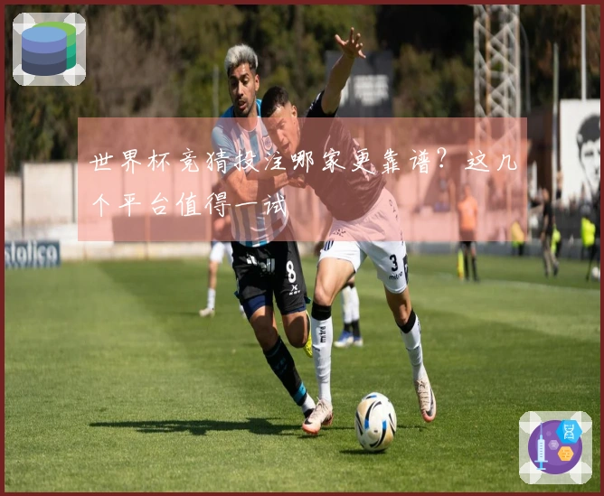 世界杯竞猜投注哪家更靠谱？这几个平台值得一试