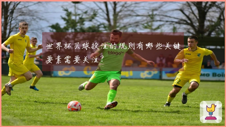 世界杯买球投注的规则有哪些关键要素需要关注？