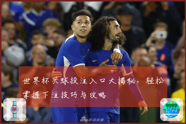 世界杯买球投注入口大揭秘，轻松掌握下注技巧与攻略