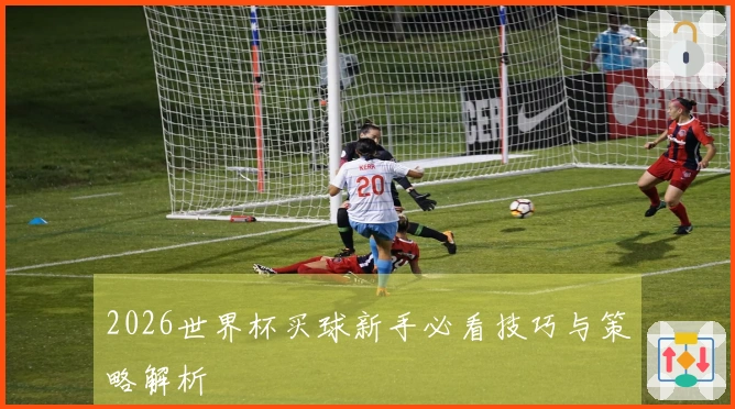 2026世界杯买球新手必看技巧与策略解析