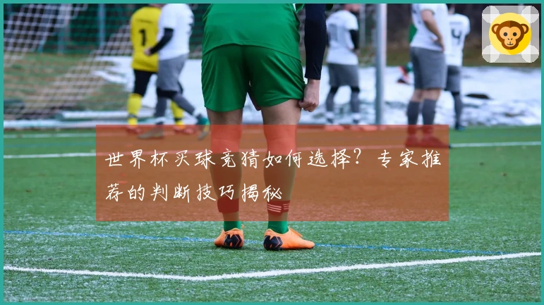 世界杯买球竞猜如何选择？专家推荐的判断技巧揭秘
